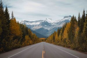 davey-gravy-i-ko9k8jn0E-unsplash