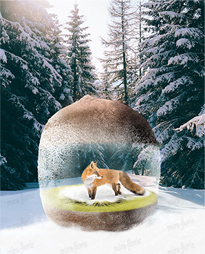 Vosje in de kiwi