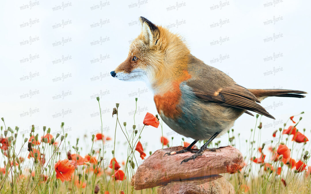 Vogel vosje